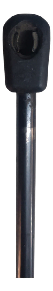 Amortiguador De Cajuela Peugeot 406 2004
