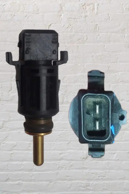 Sensor De Temperatura Bmw Serie X5 2015