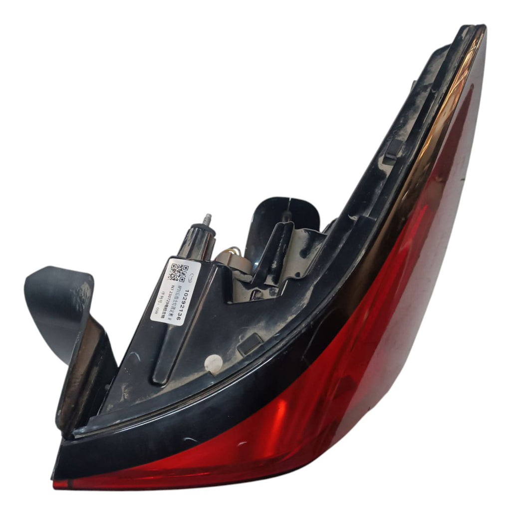 Calavera Mg-5 2020