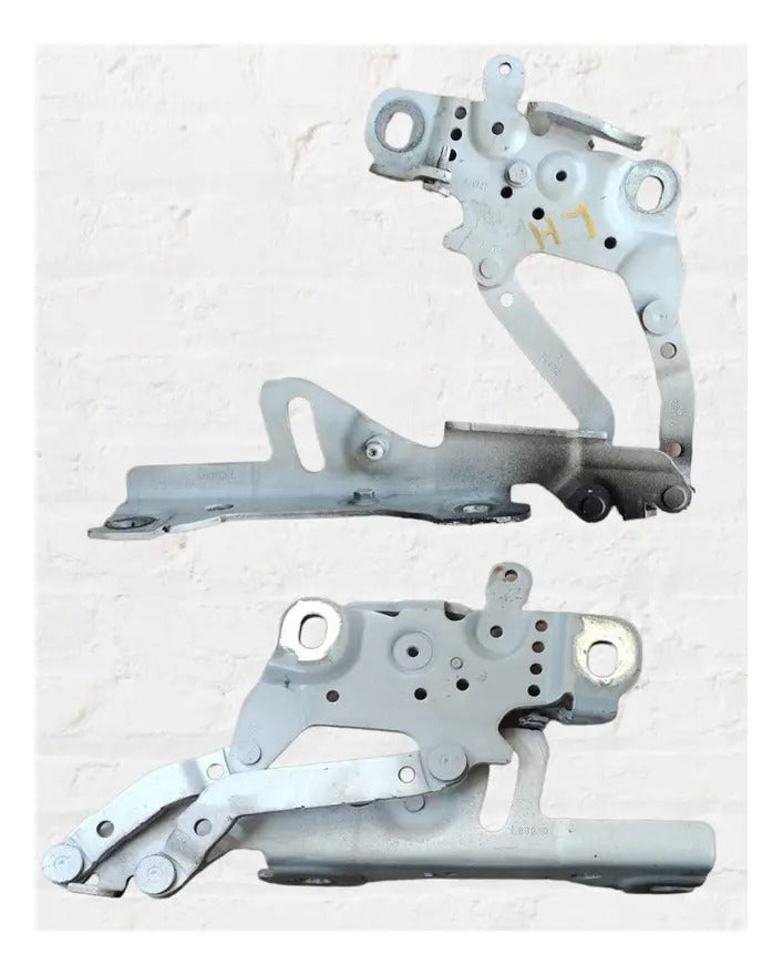 Bisagra De Cofre Bmw-serie 1 2014 Lh