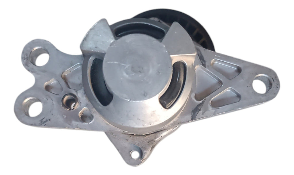 Polea Tensora Peugeot 207 2010