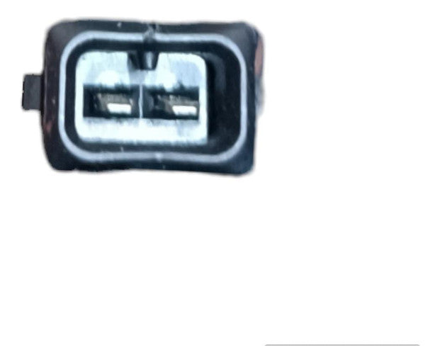 Inyector  Bmw Serie X3 2006  E