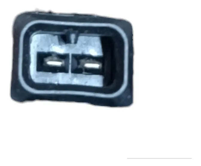 Inyector  Bmw Serie X3 2006  C