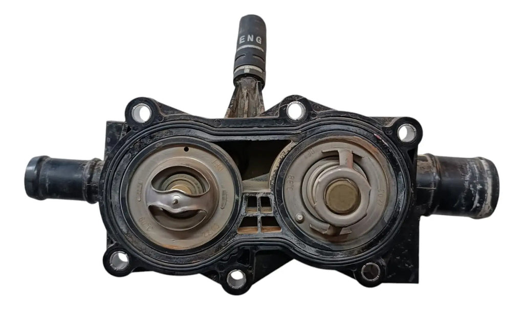 Termostato Mg5 2023