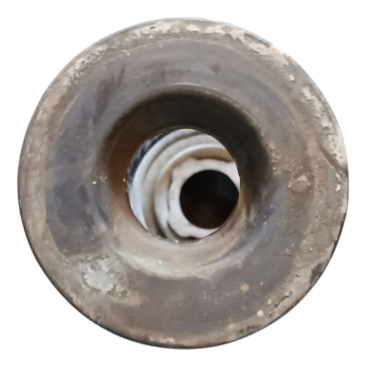 Resorte De Suspension Trasero Mg 5 2023