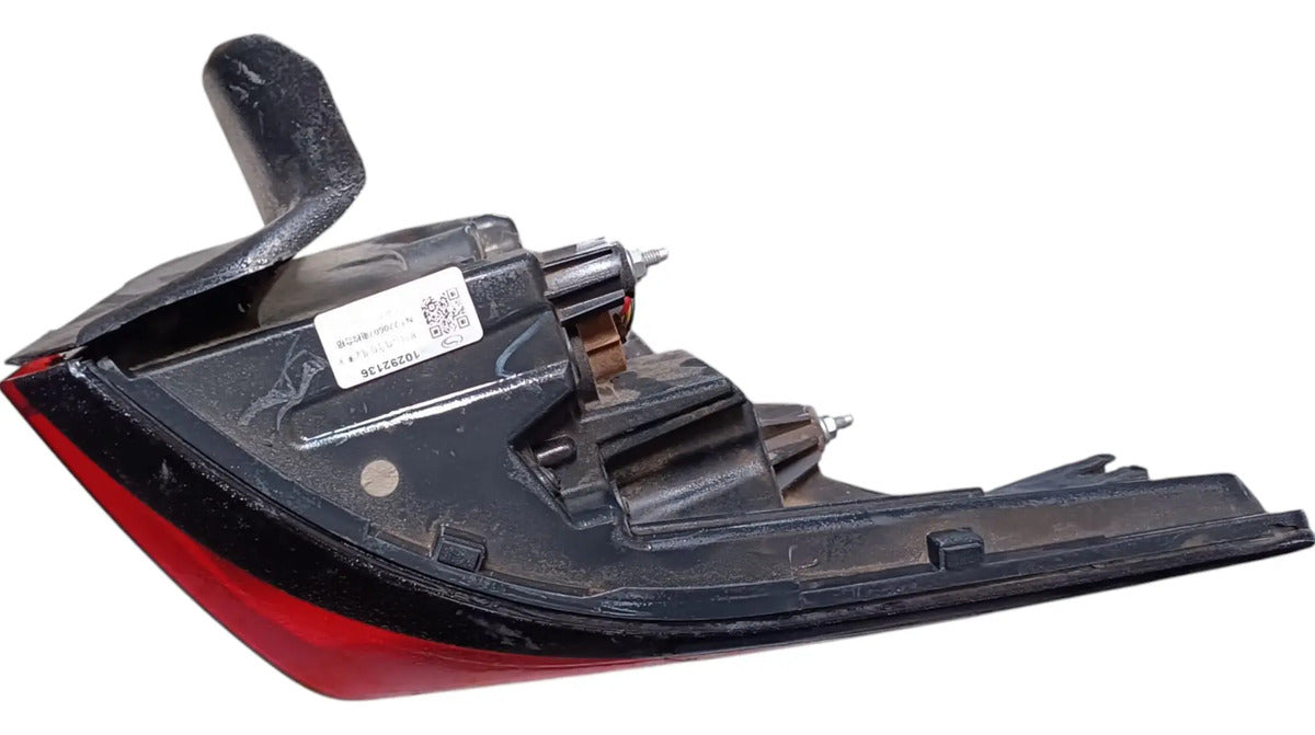 Calavera Mg-5 2023