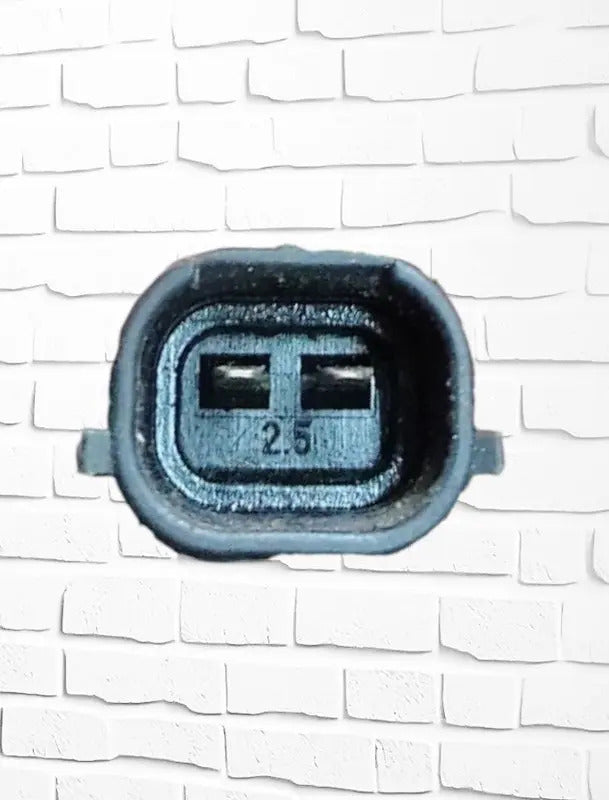 Inyector Mini Coopermini Cooper 2010